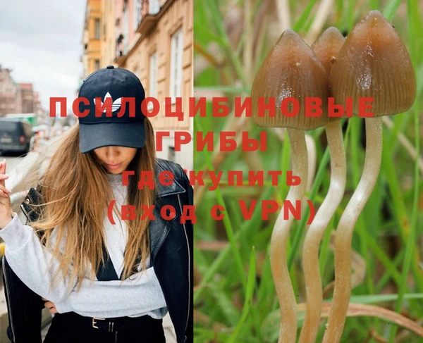ешки Мегион