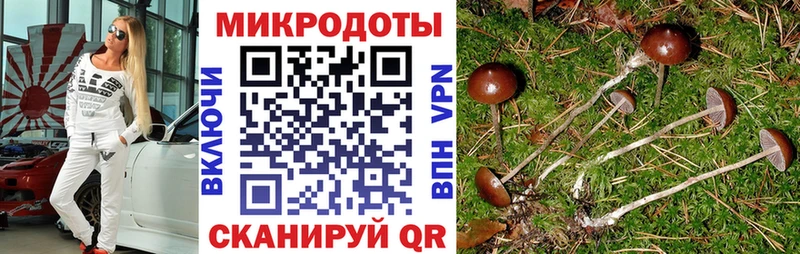 Псилоцибиновые грибы мухоморы  Купить закладки  Чухлома 