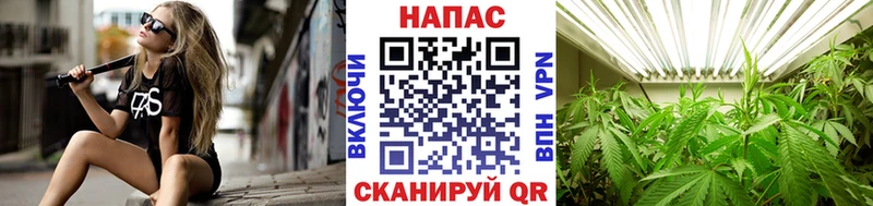 Шишки марихуана Ganja Чухлома