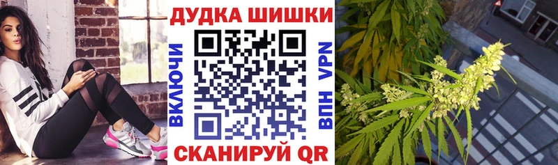 Конопля семена  Купить  Чухлома 